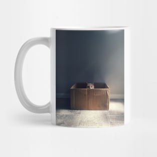 Cat in a box. The Zen cat master. Photography Mug